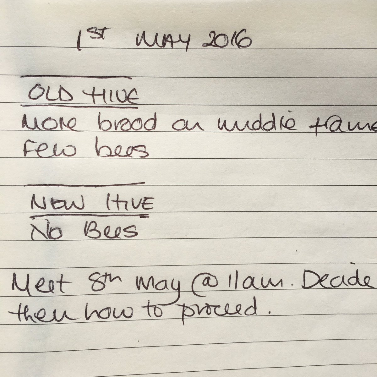 bee7forestgate's tweet image. 