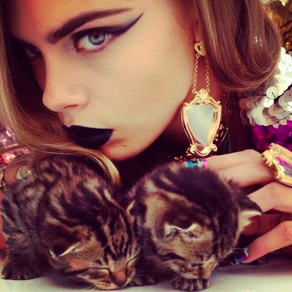 ELLEUK's tweet photo. So hot right meow. The rise of the fashion cat lady https://t.co/Ns1nC3Qbcz https://t.co/6ki0dgCihH