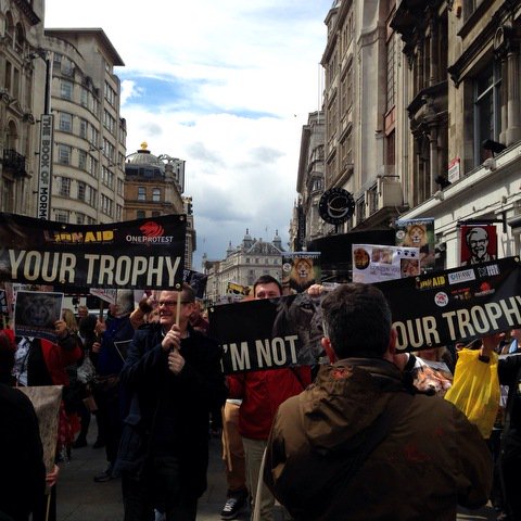 FOURPAWSUK's tweet image. Proud to have been part of yesterday&apos;s March to Stop Lion Trophy Hunting. Great to see so many united in this cause!