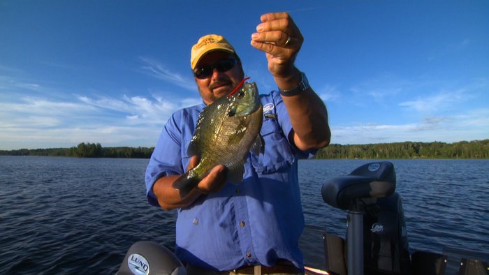 OUTDChannel's tweet photo. Finding ways to get platter-sized #bluegills to bite in deep water. #FishingEdge 9aET | https://t.co/5HQLvfz75V https://t.co/TIyQjHigzs
