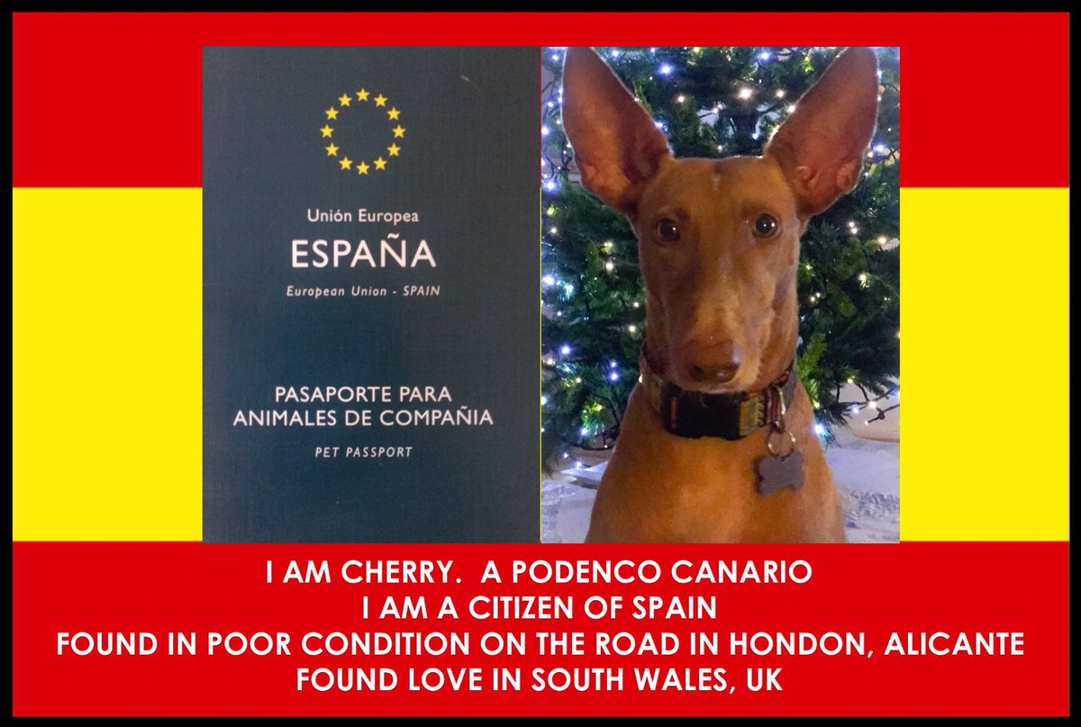 miss_ing's tweet photo. #DayOfThePodenco https://t.co/6RrNJhLrjz