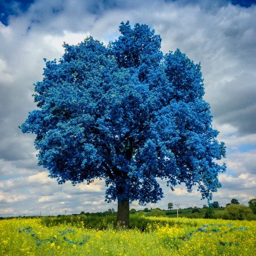 Air Cushion Boot Co. (solovair) Twitter