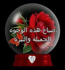 eprabem's tweet photo. @emankorayem2 https://t.co/W8v8z57Xm1
