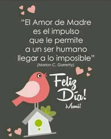 centrominimi's tweet photo. Un vínculo perfecto,  vuestras miradas. Feliz #diadelamadre https://t.co/niP0FrPZCs