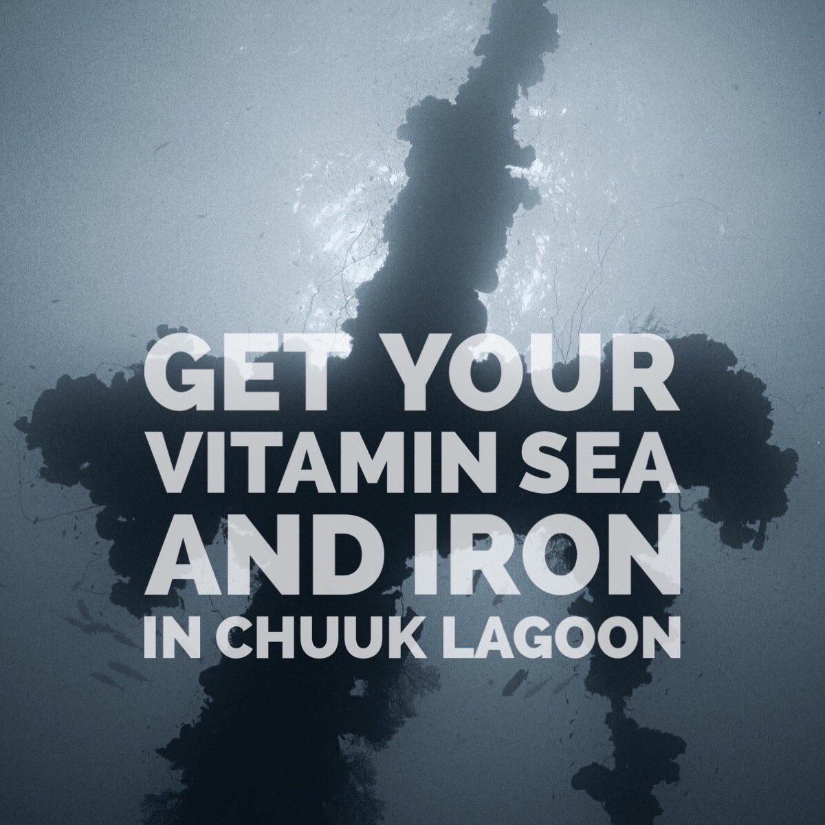 DiveTruk's tweet photo. See, wrecking diving is good for you, come join the fun ;-)
#wreckdiving #scuba #truklagoon #adventure https://t.co/p3wL8TQLVU