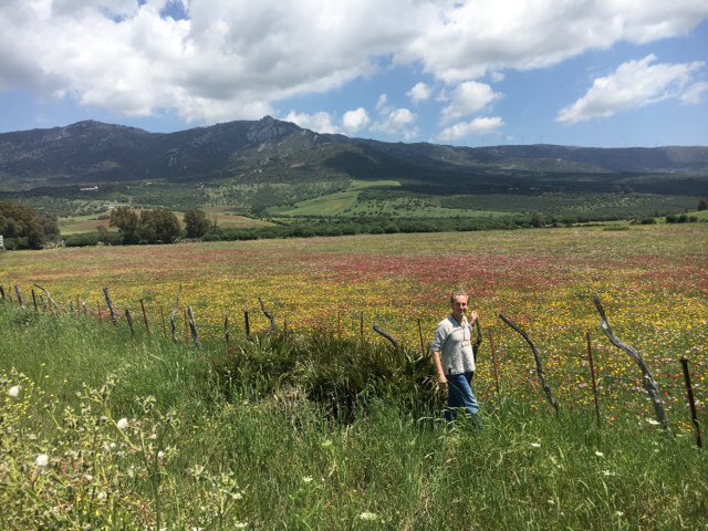 Never, I repeat never, encountered wild flowers as rampant &amp;rich as this.See next tweet #Andalusia <a href="/WildaboutPlants/">Plantlife</a>