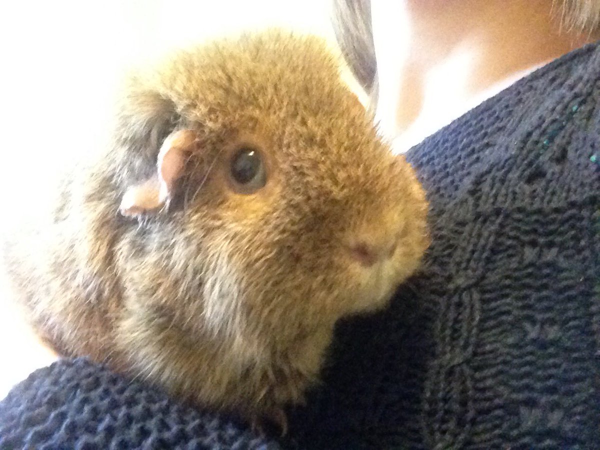 RouAndKish's tweet photo. @LauraGrahamLG Thank you for your kind words. We miss her lots. xxx https://t.co/x9Tdc3FBRC