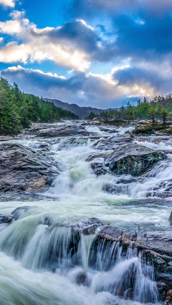 TeddyVIogs's tweet image. 