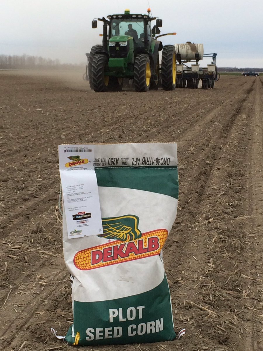 SeanCochrane1's tweet photo. Great morning to get another @DEKALB_Canada plot in thanks to @TanyaLegault46 and @AlainLegault14 beat the rain ! https://t.co/K7ELBcZswK