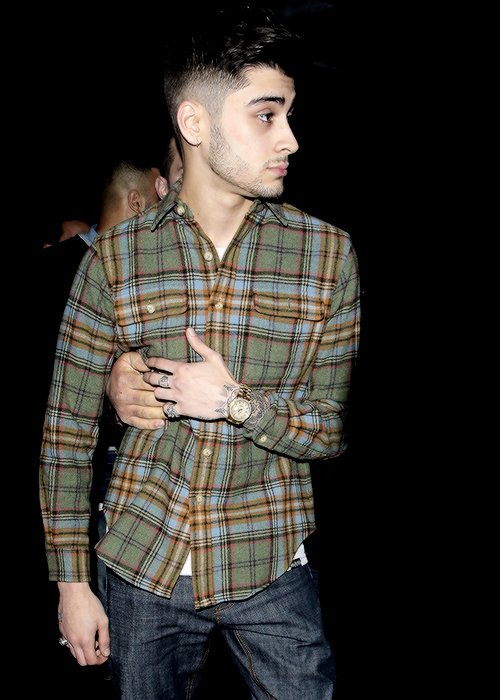 _picsofzayn tweet picture
