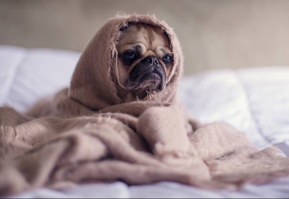 Mood
