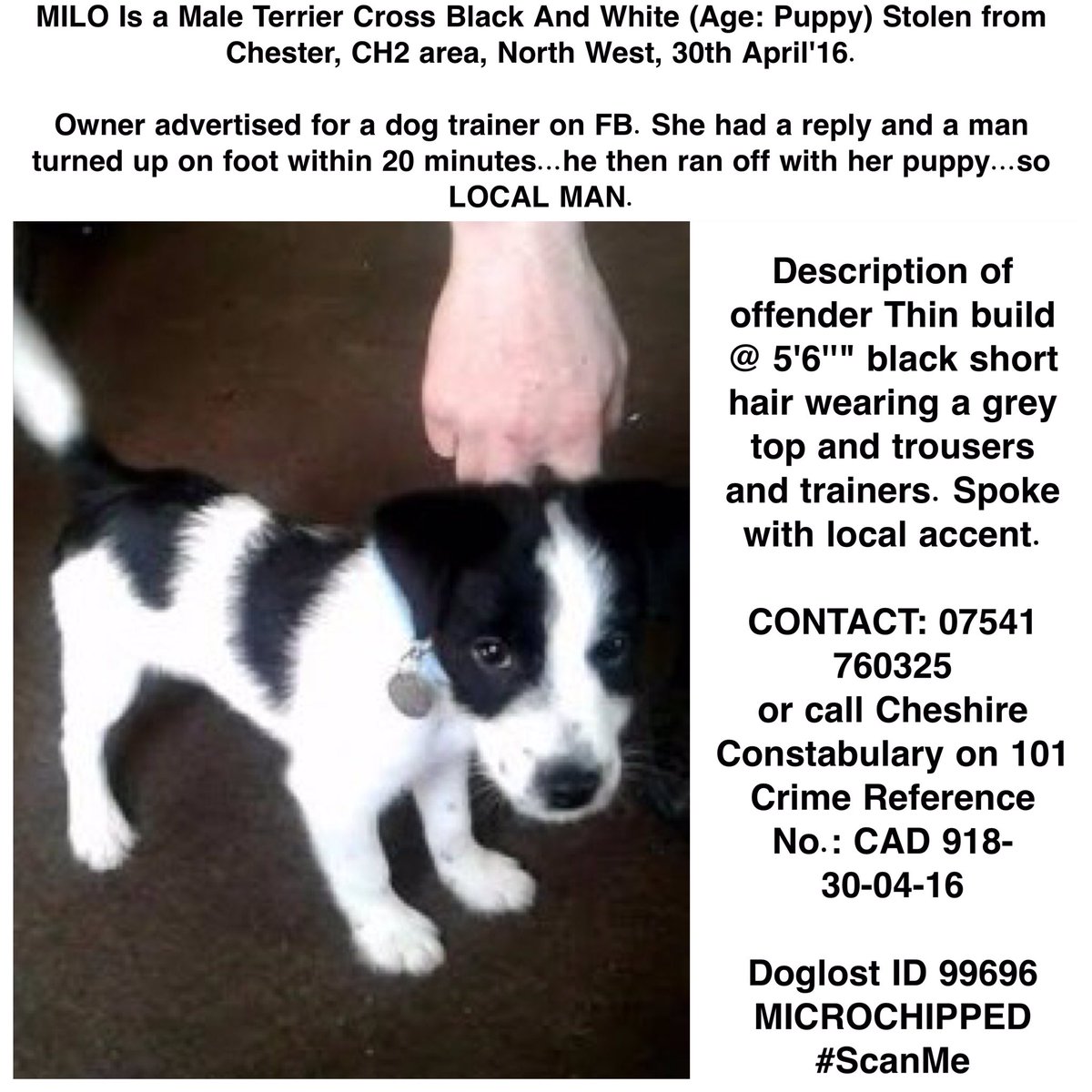 DogLostUK's tweet photo. STOLEN PUPPY MILO
#Chester @cheshirepolice @DoglostUK 
https://t.co/9cS8WS1j1E … …
Pls RT microchipped #ScanMe https://t.co/zsNYieDYDE