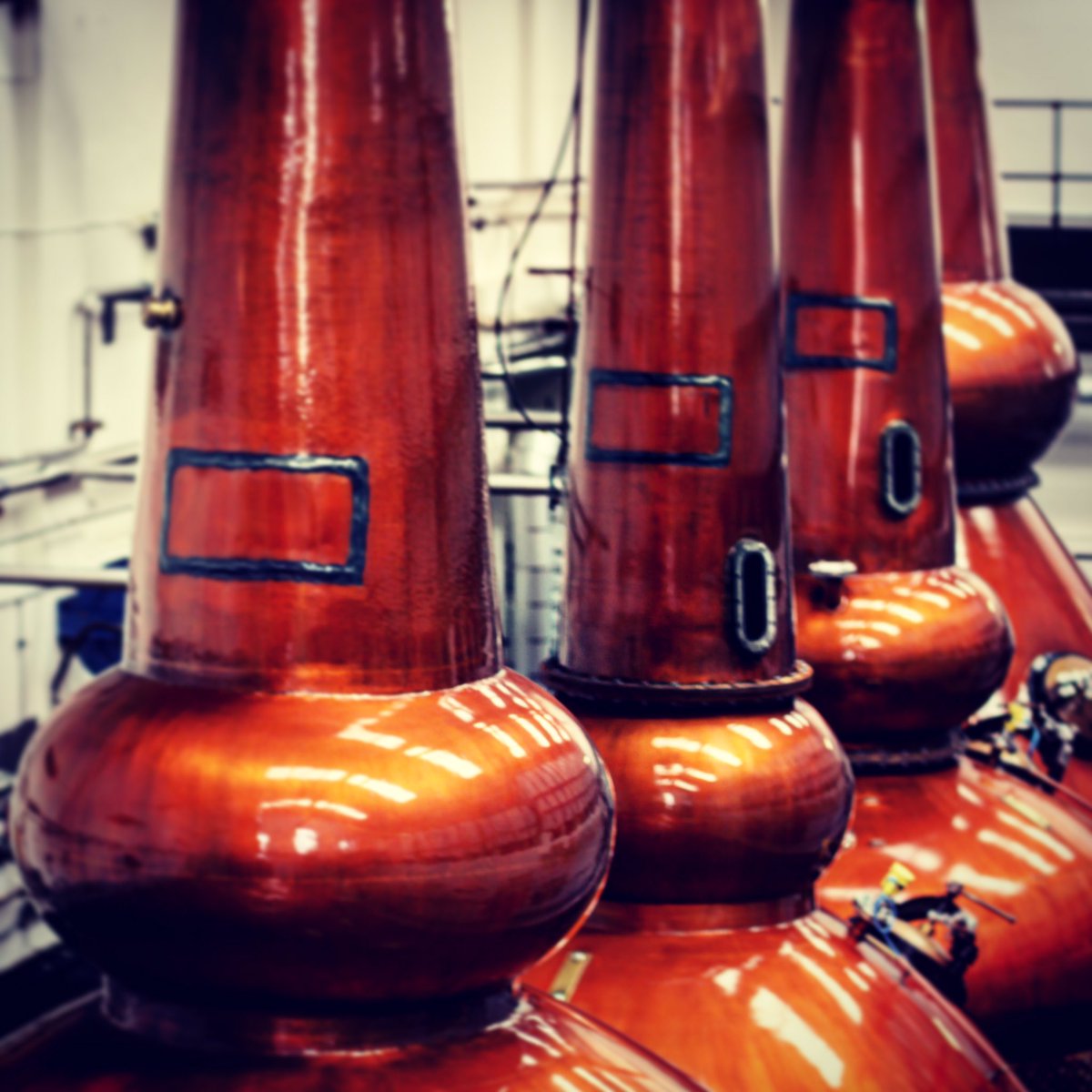 Inside Mortlach Distillery today. #lovescotch #mortlach #scotch #speyside #spiritofspeyside