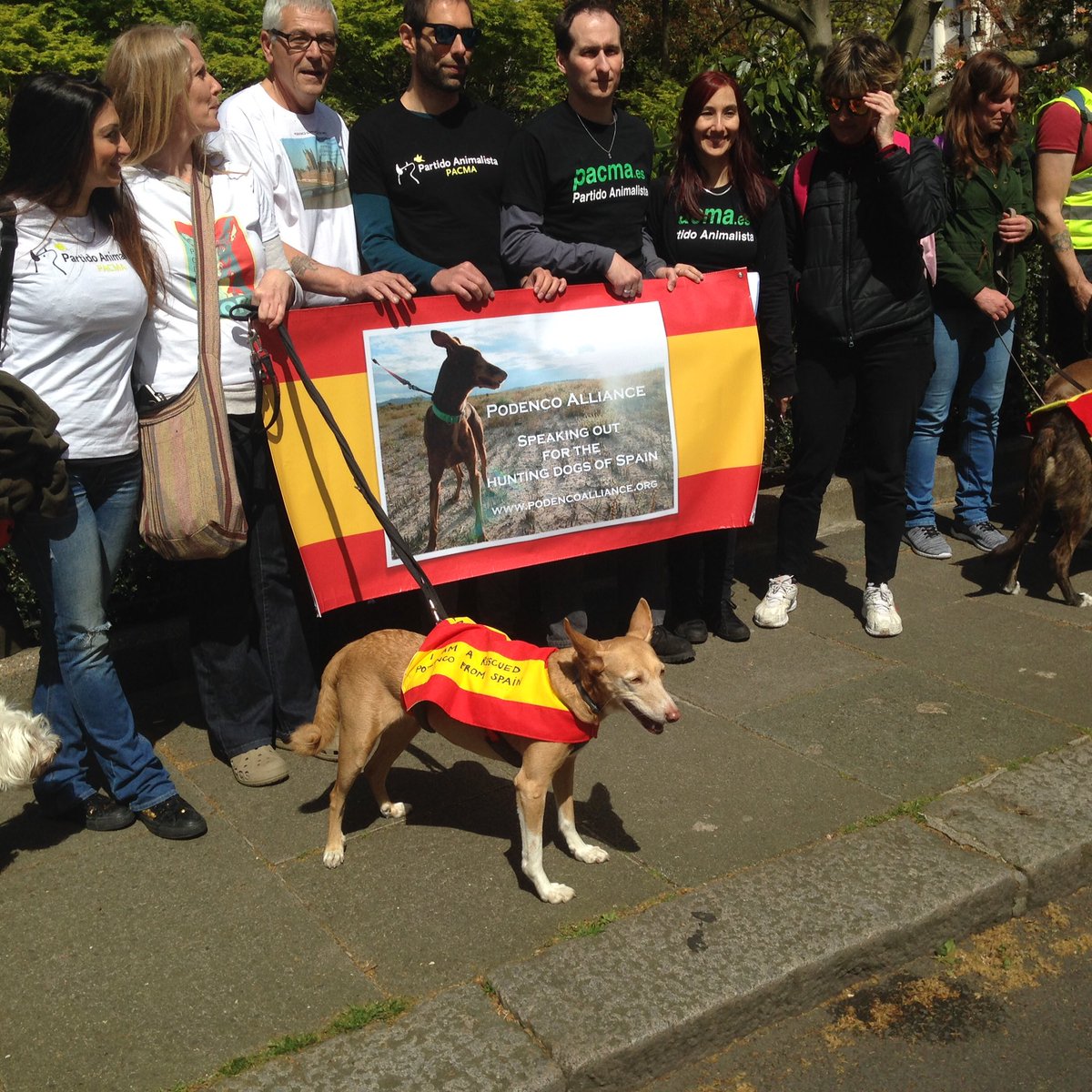 jeannesmith1's tweet photo. @PodencoAlliance #PodencoProtest London UK @EU_Commission @ClaudeMoraesMEP Spain must Stop killing these l#dogs https://t.co/c7JSxpfJTL