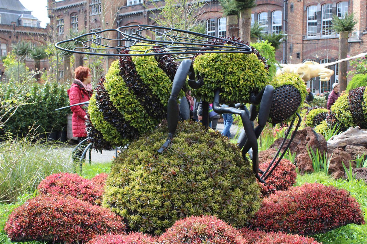 dauwep's tweet photo. In #gent is het dat net ietsje meer #lente! #floralien https://t.co/fQ2ftCRrwi