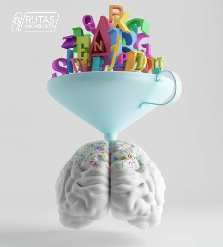 Tu memoria no se deteriora  con la edad, mejora entre + la alimentes y uses técnicas  de memorización y repases