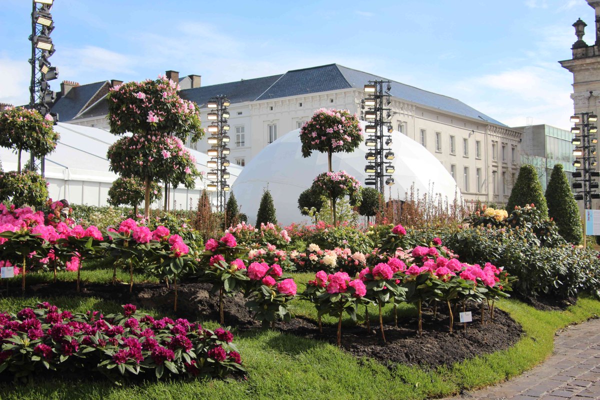 dauwep's tweet photo. In #gent is het dat net ietsje meer #lente! #floralien https://t.co/fQ2ftCRrwi