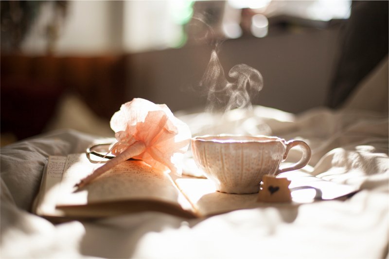 gv_tribe's tweet photo. Set a goal that makes you want to jump out of the bed in the morning.

#goodmorning #breakfast #positivity https://t.co/vJwV8O4ciu