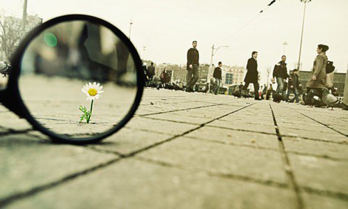 gv_tribe's tweet photo. Find joy in the little things.

#motivation #happiness #smile https://t.co/CPsFSPLGvL