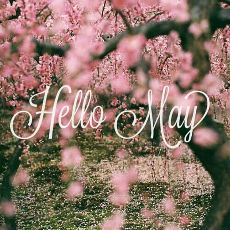 pureblissbundle's tweet photo. Hi May!! Feels like this year is just flying by! Have a blessed Sunday, everyone! 
#may #m… https://t.co/SZq6xL0tCE https://t.co/Fmlgiam5nY