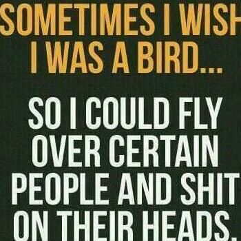 MinajMohamed's tweet photo. #Sacastic https://t.co/YQzNq6Rjv2