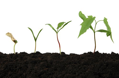 OfficialFPCan's tweet image. Do you know what to expect from the #FinancialPlanningProcess? Here’s your primer: 
bit.ly/1RiBdQO