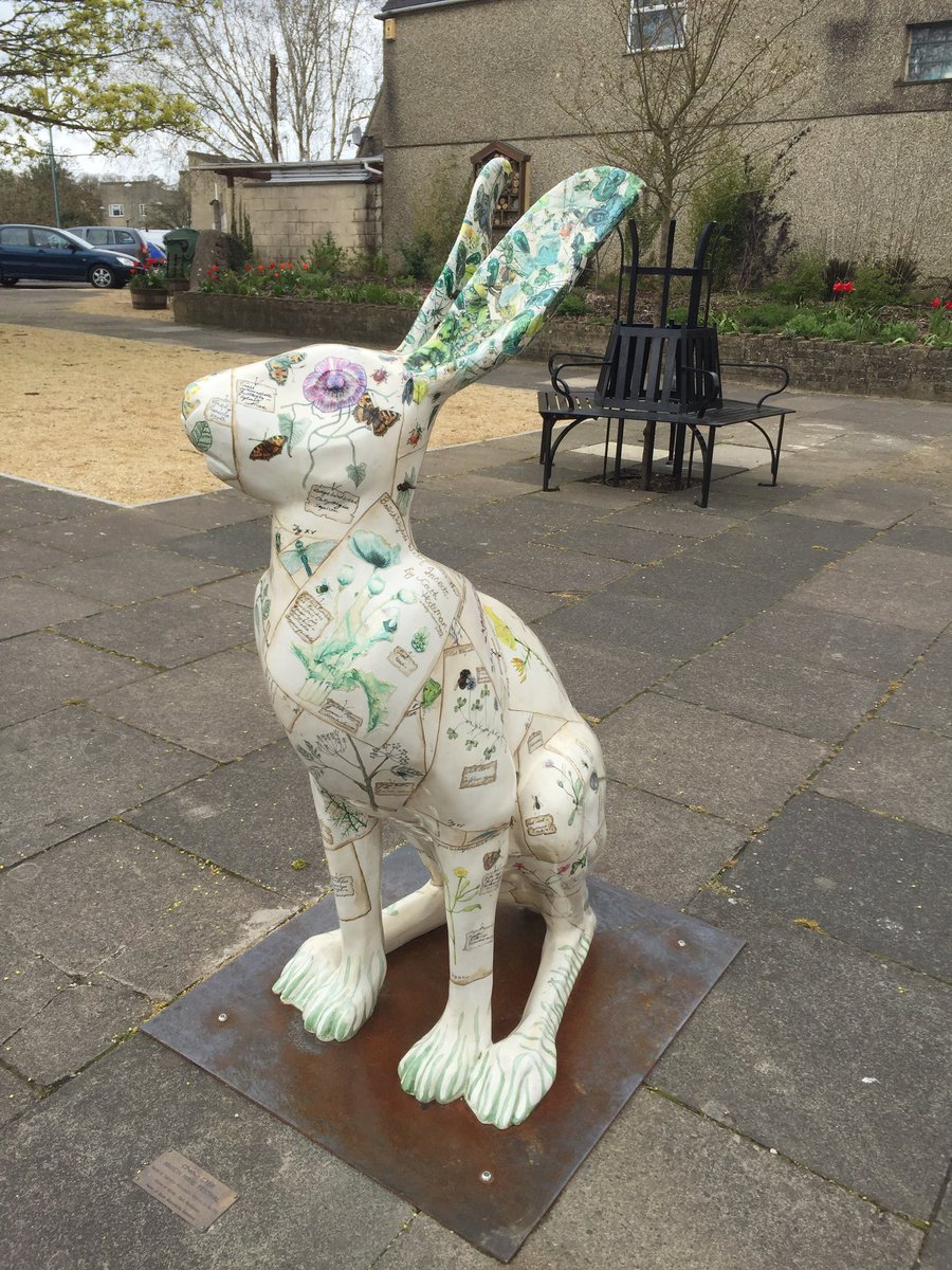 KazzyC63's tweet photo. #HareTrail #Hare1 https://t.co/1RdGBg1btV