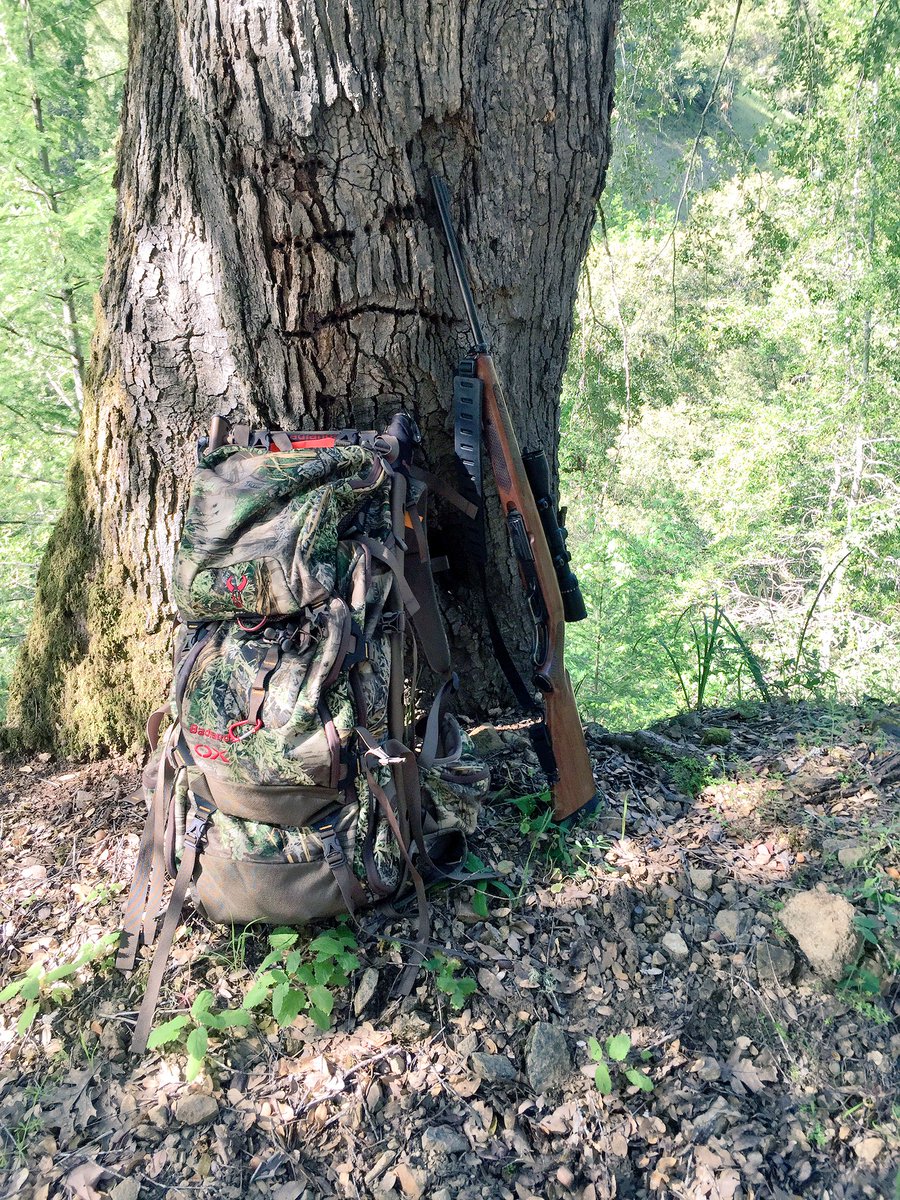 MyLife_Outdoors's tweet photo. Just over 8 miles of hiking and didn't see one pig. #huntca #frustrating #howitgoes #trophycountry https://t.co/QeJGbgyjI9