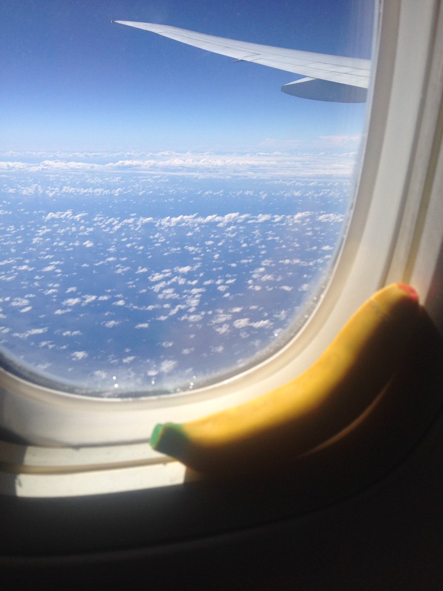 BestBanana4Ever's tweet photo. La banane s'envoie en l'air...Direction la Reunion !! 🌴☀️🐠🍌 https://t.co/8BSIYL9pSn
