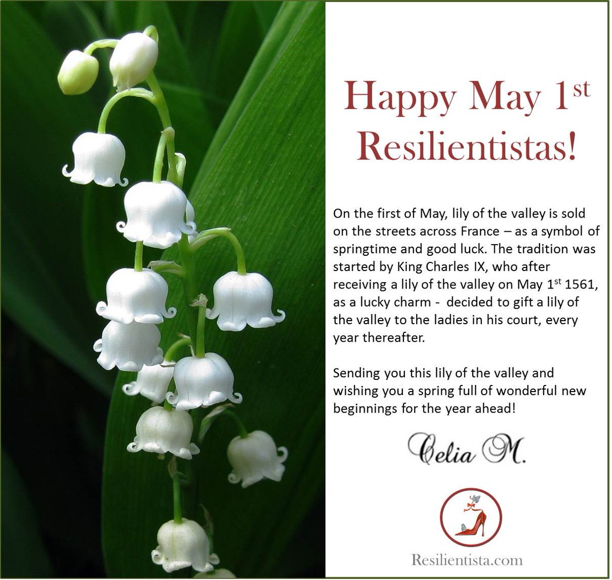 HighHeeledLife1's tweet photo. Happy May 1st! #lilyofthevalley #NewBeginnings #springawakening #resilientista #selfcare #HighHeeledLife https://t.co/ic4xjvDWIg