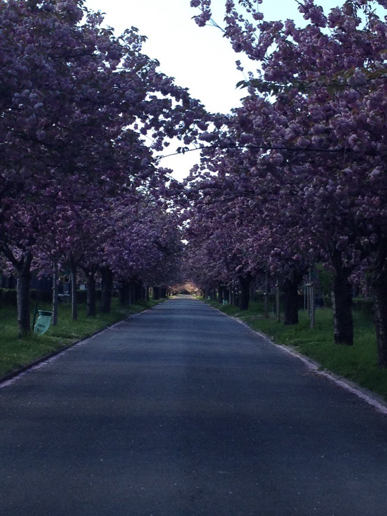 bctrampoline92's tweet image. Jolie allée non ? C'est où selon vous ? Bon dimanche