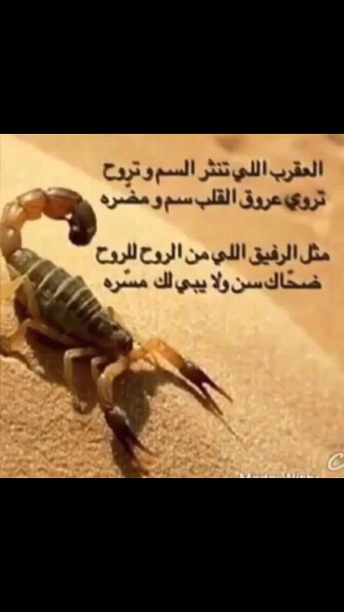 uossof66's tweet image. 