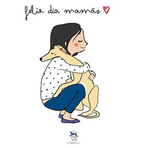 Fundación ACAVALL tweet media