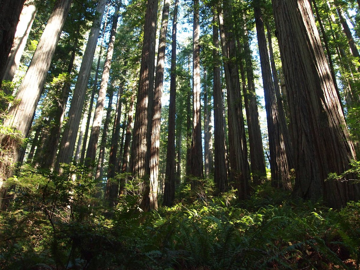 weaverstale's tweet photo. Happy May Day! We hope you're enjoying the great outdoors and not laboring away! #mayday #greatoutdoors #optoutside https://t.co/7K32ME0M6h