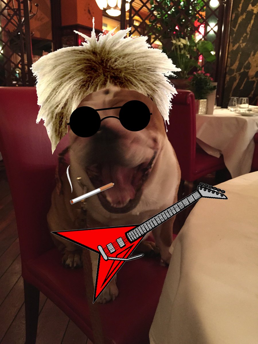 Monamphi's tweet photo. #InstantJeff
Ce dimanche, Jeff se prend pour une rockstar !
Avouez qu'il a du chien 😉 ? https://t.co/G0EHkjD7zc