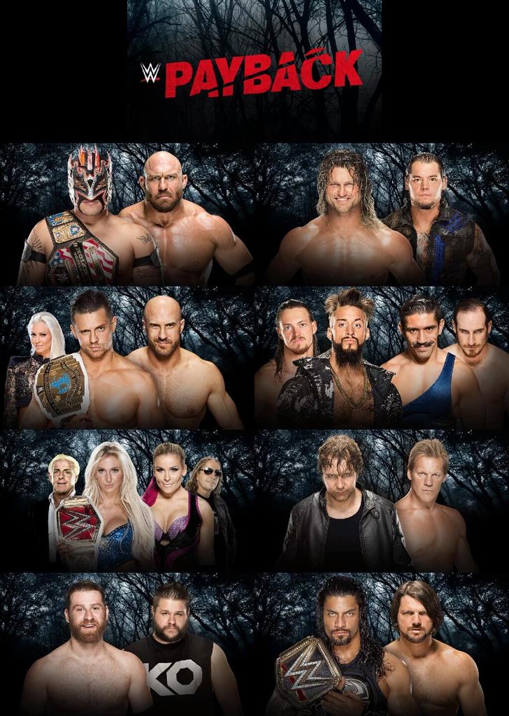 OnlyWwePoll's tweet image. RT if you're watching #WWEPayback Tonight!