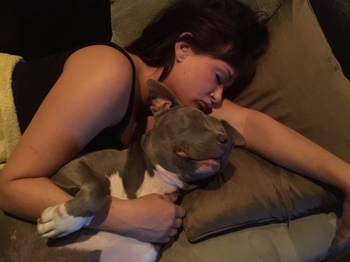 Haha. Nice thanks Alec #gigilane🐶 https://t.co/Z1b760XsFT<a href="/tag/gigilane"class="tags">#gigilane</a>