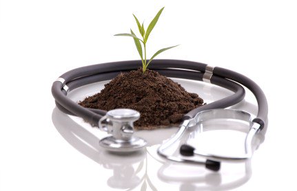 acehuett's tweet photo. Allopathic Vs. Naturopathic Medicine https://t.co/75odWPIgl4 https://t.co/zjf94mdSoV