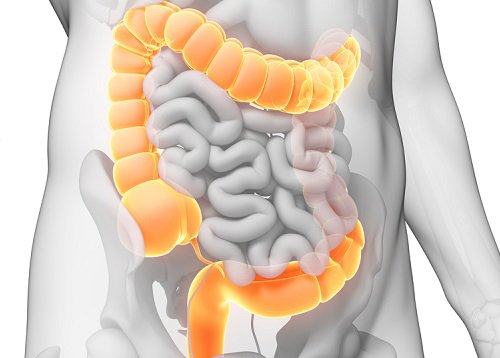 noticias24's tweet photo. Descubre cómo limpiar tu colon y evitar el Síndrome de colon Irritable - https://t.co/9j8oKtnbWJ https://t.co/vCTOl6opfl