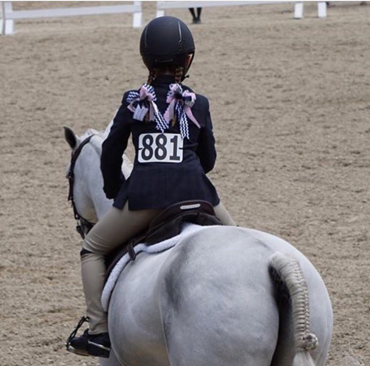 BetterBows's tweet photo. Here's Brand Ambassador Paige and Stylewise, her pony showing in Flintridge with her show bows! Get yours today! https://t.co/k3GFinvI49