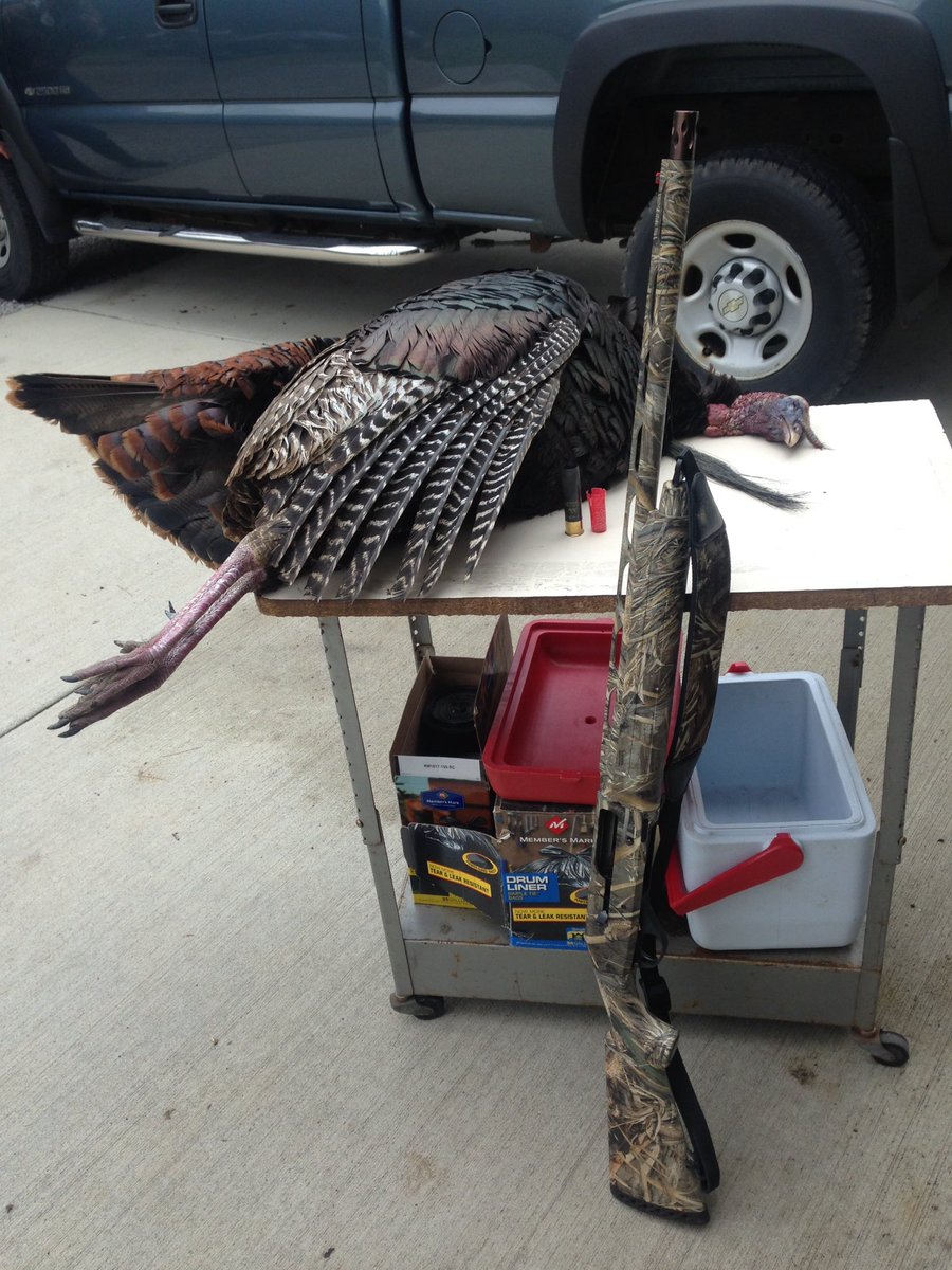 MatthiasLogan's tweet photo. #Patternmaster #Stoeger M3500 #longbeard xr https://t.co/PtXl6RSVM2