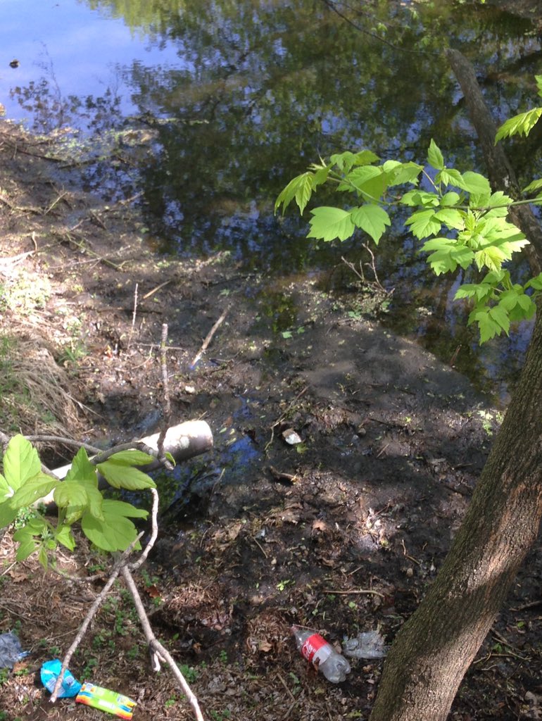 mcgrathgreensc1's tweet photo. TOYB-Do one thing for 1 day and pick up plastic on walks,Bike,take a picture and pass it on to one person#snetoday https://t.co/kORnJOqiE3
