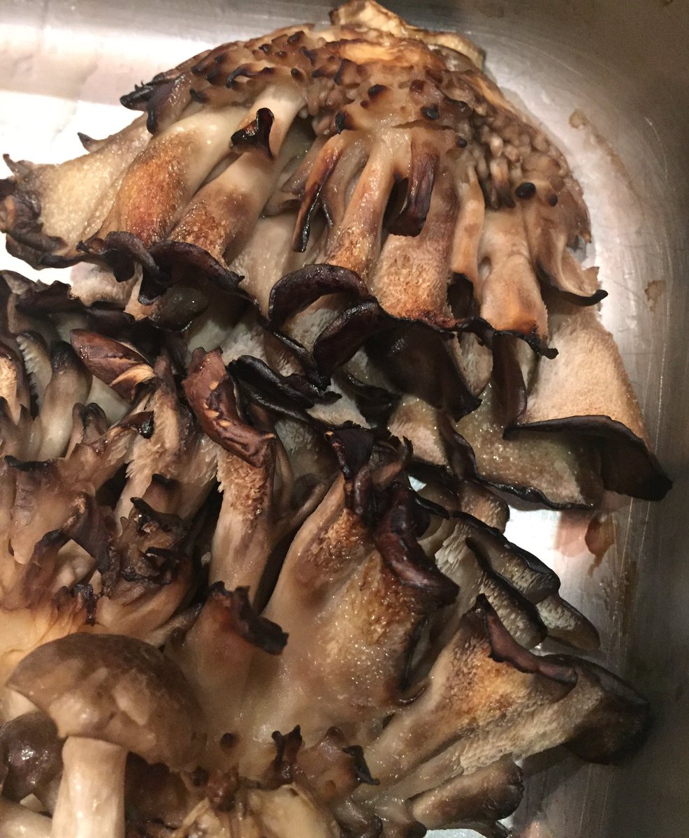 Debbie_Gold's tweet photo. Braised maitake mushroom. #braising #mushroom #syscokansascity #shuttlecork #nelsonatkinsmuseum https://t.co/KdUbXVTppN