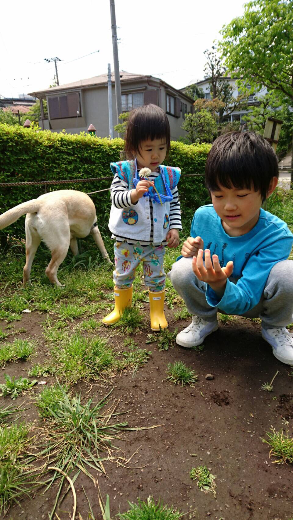 トータルテンボス大村朋宏 もうすぐ2歳の娘は 早くも身につけるファッションへのこだわりがすごい 今日も全部自分で全身コーディネート 俺とか嫁とかが着せようとする物は断固として頑なに拒否 結果 絶対に履く長靴 絶対に首