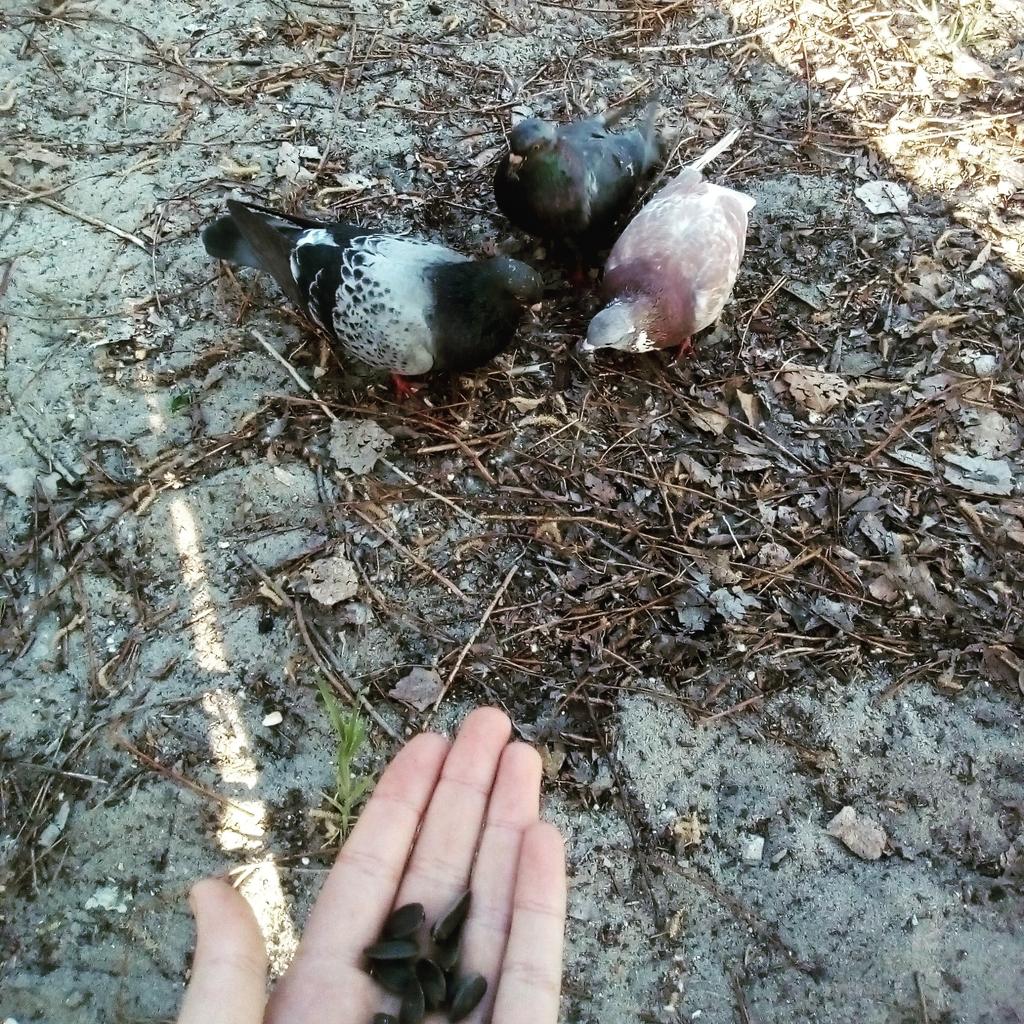 toothdevil4's tweet image. Когда ты власть