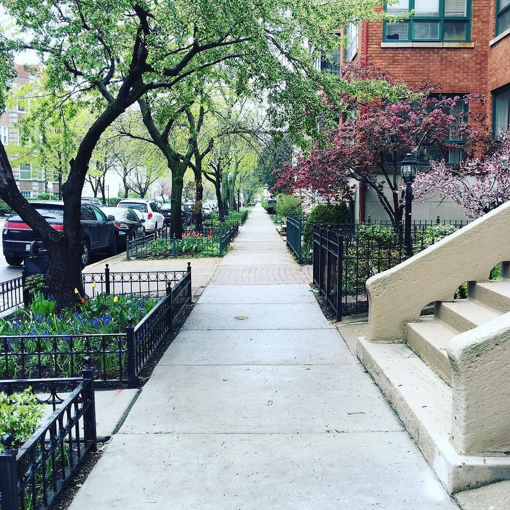 marvinrussell's tweet photo. My commute to work.
#grinding #startupchicago #startuplife #entrepreneur #checkli #startup https://t.co/kgdjbGNfwq https://t.co/2OY00WoNIQ