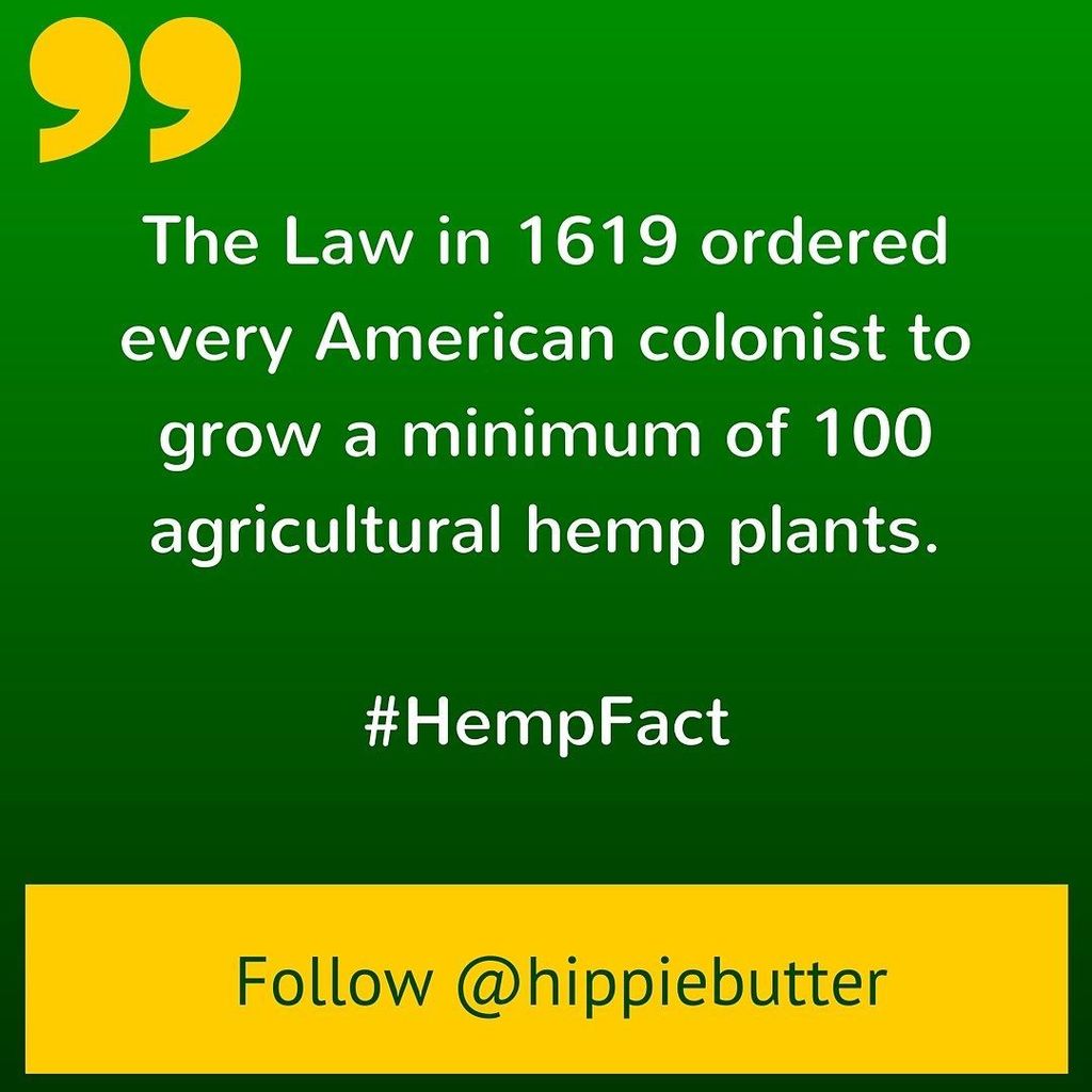 hippiebutter's tweet photo. The Law in 1619 ordered every American colonist to grow a minimum of 100 agricultural hemp… https://t.co/lgYlA075lh https://t.co/ckTjvfZQmC