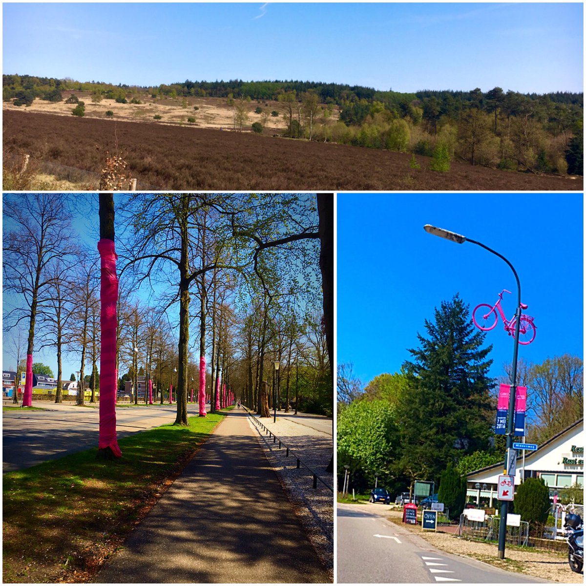 Vera_Koedooder's tweet photo. Was a beautiful day for a 4,5hr/138km solo endurance ride through a pink @GiroGelderland!😎🚴💨#SpringIsThere #DeVeluwe https://t.co/HyuX8x4TIz