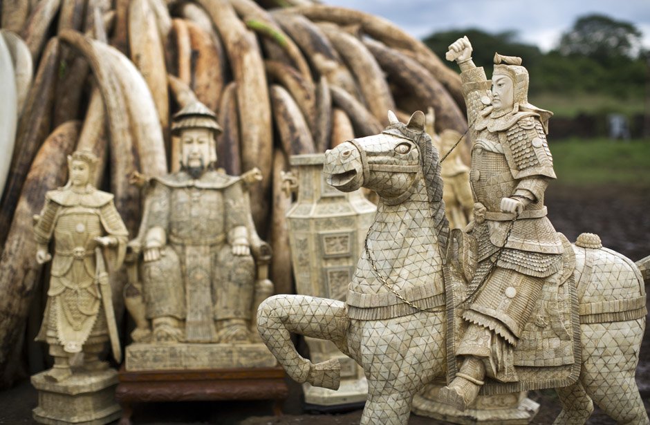 nationalpost's tweet photo. Kenya sets 105 tonnes of ivory on fire https://t.co/JJ4m6wGLmr https://t.co/41OPnGp0UF