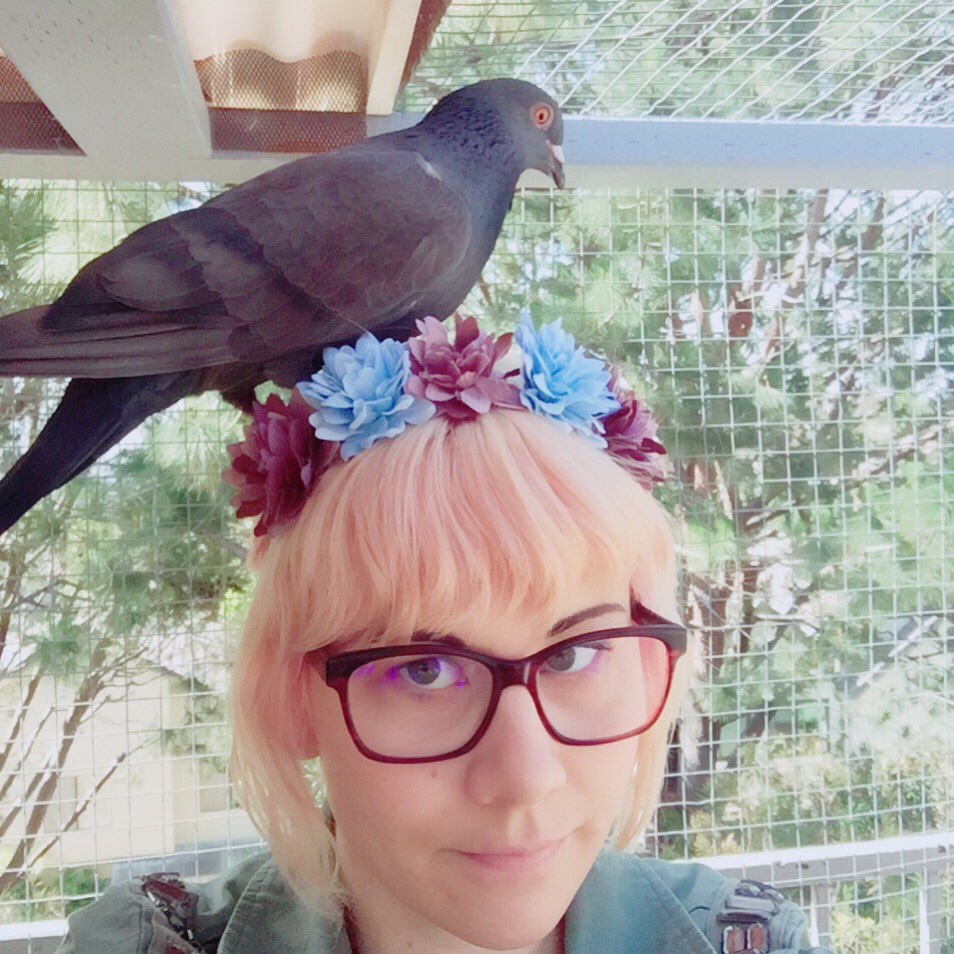HollyConrad tweet picture